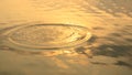 Gold circle ripple from rain drop on water surface in morning day. Warm orange water surface for background Royalty Free Stock Photo