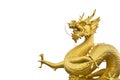 Gold city Puket dragon ,