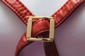 Gold clasp with a red strap from clothes