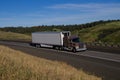 Gold Classic Semi-Truck - White Trailer