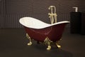 Gold Clawfoot Bath Tub Royalty Free Stock Photo