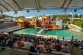 Gold Coast, Queensland, Australia - Seal show at Seaworld theme park