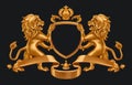 Gold coat of arms lions and crown.