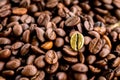 Gold coffee beans on a pile of coffee beans