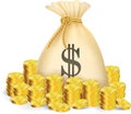 gold coin with bag of money Royalty Free Stock Photo