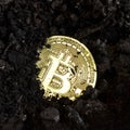 Gold coin bitcoin buried in the ground