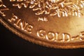 Gold Coin Royalty Free Stock Photo