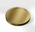 Gold Coin, Mockup Template, Banking Concept, Cryptocurrency, 3d Rendered isolated on Light background Royalty Free Stock Photo