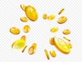 Gold coin splash bingo jackpot win casino poker coins vector 3D background Royalty Free Stock Photo