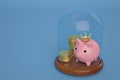 Gold coin stacks and piggy bank with glass bell on blue background.3D illustration Royalty Free Stock Photo