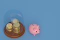 Gold coin stacks and piggy bank with glass bell on blue background.3D illustration Royalty Free Stock Photo