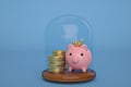 Gold coin stacks and piggy bank with glass bell on blue background.3D illustration Royalty Free Stock Photo