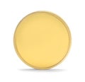 Gold Coin Upright Royalty Free Stock Photo