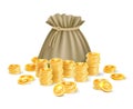 Gold coins bag