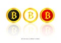 Gold coins Bitcoin