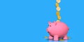 Gold coins falling into pink ceramic piggy bank standing against blue background Royalty Free Stock Photo