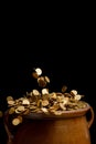 Gold coins falling in the vintage pot Royalty Free Stock Photo