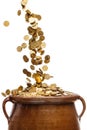 Gold coins falling in the vintage pot