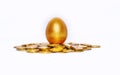 Gold coins and golden eggs, the concept of financial growth