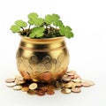 gold coins in a green pot isolated on white Royalty Free Stock Photo