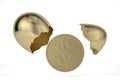 Gold coins hatched from golden egg, 3D rendering. 3D illustration Royalty Free Stock Photo