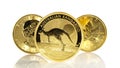 Gold Coins Panorama - White Background