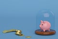 Gold coins and piggy bank with glass bell on blue background.3D Royalty Free Stock Photo