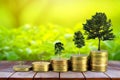 Gold coins pile stack and growing money and grow trees that grow up on nature background, Saving money and ecology concept Royalty Free Stock Photo