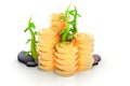 Gold Coins and plant Royalty Free Stock Photo