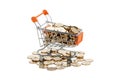 Gold coins in shopping cart