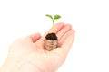 Gold coins in the soil with a young plant.  money growth concept Royalty Free Stock Photo