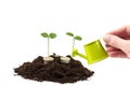 Gold coins in the soil with a young plant. money growth concept Royalty Free Stock Photo