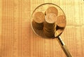 Gold coins on stock index under magnifying glass Royalty Free Stock Photo