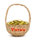 Gold coins in wicker basket with write the word forex isolated on a white background Royalty Free Stock Photo