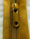 Gold color plastic zipper. Open and close lock