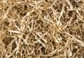 Gold color shredded paper - gift box filler background. Royalty Free Stock Photo