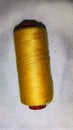 This is a gold colored fabric sewing thread. Royalty Free Stock Photo