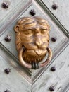 Gold coloured lion head door knocker on old wooden studded door Royalty Free Stock Photo