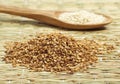 GOLD COLOURED SESAM AND NATURAL SESAM SEEDS Royalty Free Stock Photo