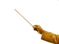 Gold conductor's hand