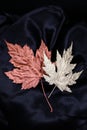 Gold and copper maple leaf- two beautiful maple leaves to use as billboard