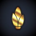 Gold Corn icon isolated on black background. Vector