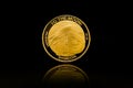 Gold cryptocurrency coin - Dogecoin, isolated on a black background