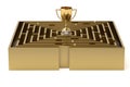 A gold cup in the maze.3D illustration. Royalty Free Stock Photo