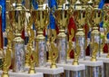 Gold Cup Trophies Royalty Free Stock Photo