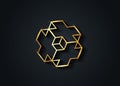 Gold 3D Necker cube cross icon. Golden luxury Isometric cube logo design template. Science, medicine or technological symbol