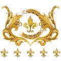 Gold damask elements. vintage golden baroque luxury illustration.