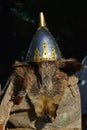 Gold decorated conical medieval helmet placed on wild boar head and fur