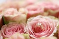 Gold diamond engagement ring in beautiful pink rose flower among big amount of roses in big bouquet close up Royalty Free Stock Photo