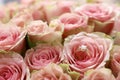 Gold diamond engagement ring in beautiful pink rose flower among big amount of roses in big bouquet close up Royalty Free Stock Photo